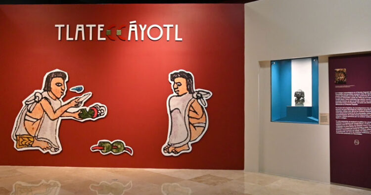 Llega al Museo del Noreste la exposición Tlateccáyotl en Nuevo León