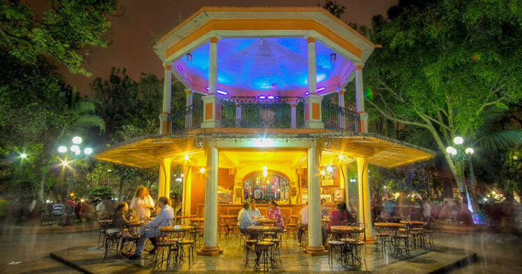 Coatepec, Veracruz “En el cerro de las serpientes”