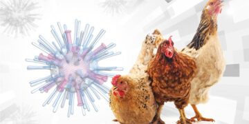 Descartan casos de gripe aviar en humanos en Nuevo León