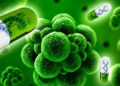Celebra ONU la Semana Mundial de Concienciación sobre el Uso de los Antimicrobianos
