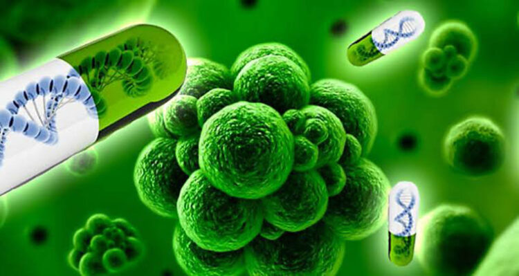 Celebra ONU la Semana Mundial de Concienciación sobre el Uso de los Antimicrobianos