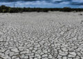 “Se necesitan más esfuerzos para adaptarse al cambio climático”: ONU