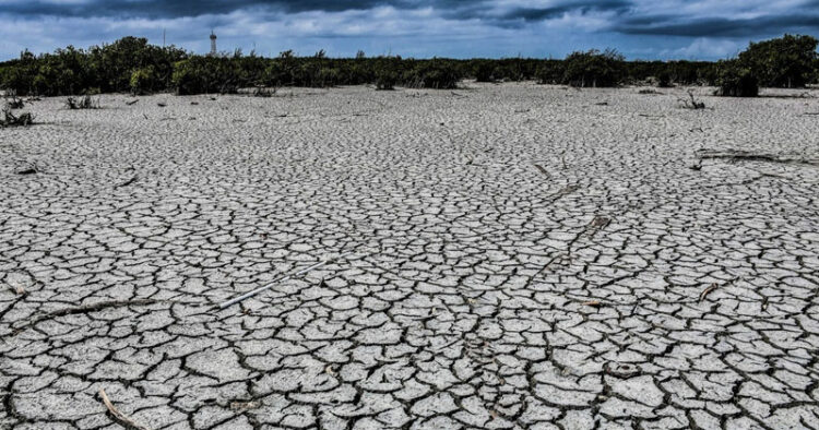 “Se necesitan más esfuerzos para adaptarse al cambio climático”: ONU