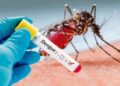 Acciones contra el Dengue se aumentarán en Nuevo León