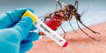 Acciones contra el Dengue se aumentarán en Nuevo León
