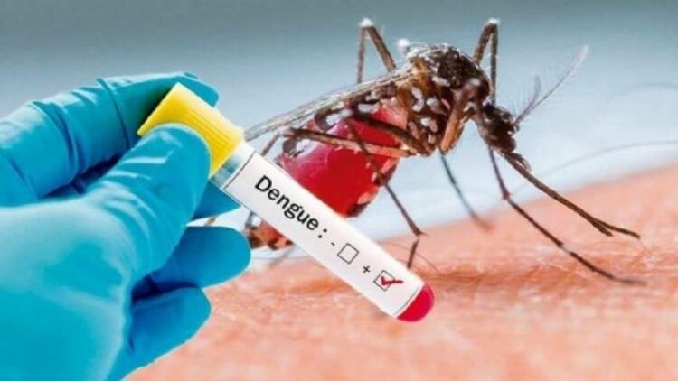 Acciones contra el Dengue se aumentarán en Nuevo León
