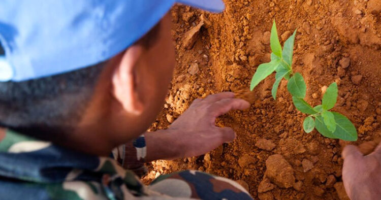 Preparan festejos del Día para la Prevención de la Explotación del Medio Ambiente en la Guerra y los Conflictos