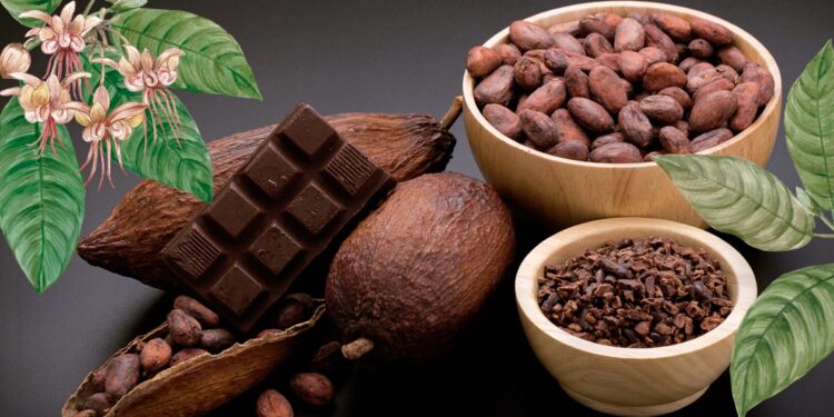 Tendrá Nuevo León el 9° Festival del Cacao al Chocolate en el Museo de Historia Mexicana