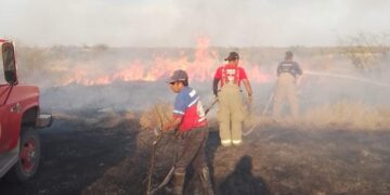 Exhorta Protección Civil de Victoria evitar quema de solares baldíos
