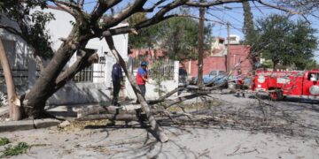 Atiende Municipio afectación de infraestructura por fuertes vientos