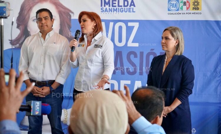Se separa Imelda Sanmiguel del Congreso de Tamaulipas