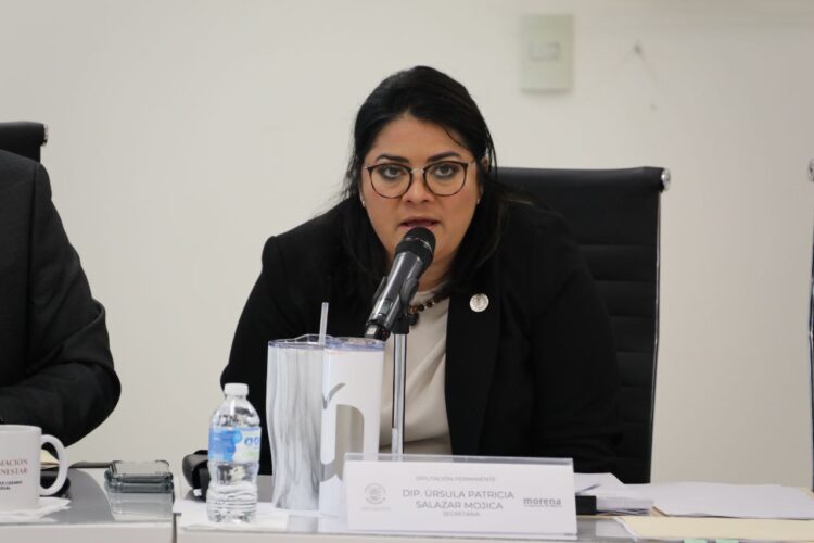 Recuperar comisiones “para que el Congreso vuelva a la normalidad”: Úrsula Salazar