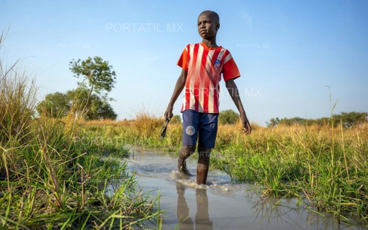 Aumentan las niñas y niños que enfrentan situaciones de emergencia: UNICEF