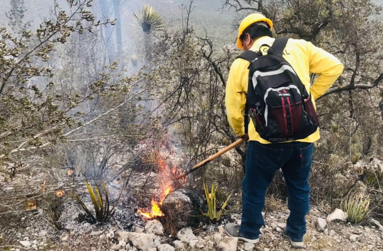 Combaten incendio forestal en Bustamante