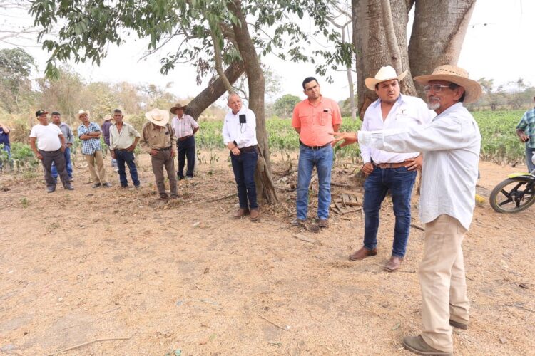 Agricultores de Tamaulipas ven 50% de probabilidades de lluvia