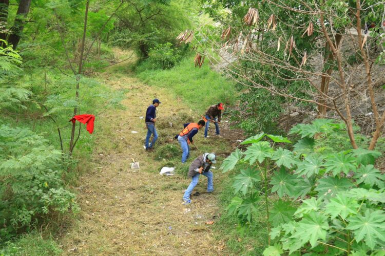 Realizará Municipio jornada de limpieza en el San Marcos