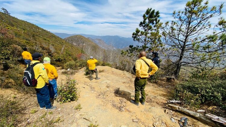 Alertan por riesgo de nuevos incendios forestales en Tamaulipas