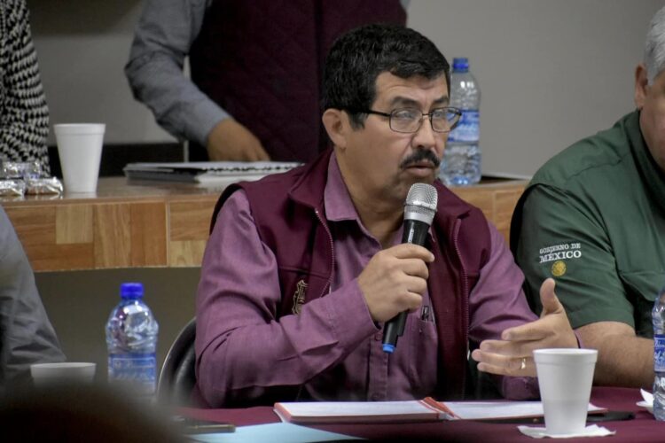 Granizada siniestró 310 mil hectáreas de granos en Tamaulipas