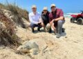 Amplían Tamaulipas y Texas la protección de la Tortuga Lora