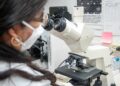 Analiza UAT bacteria que afecta perros y puede trasmitirse a humanos