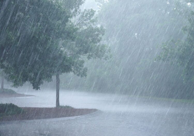 Onda Tropical 8 dejará lluvias en varios Estados del país