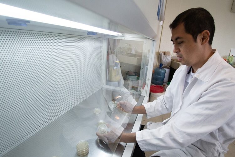En Tamaulipas, estudia la UAT nuevos compuestos de insectos comestibles