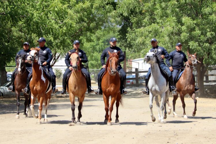 En Tamaulipas, jinetes de la Guardia Estatal cuidan zonas rurales