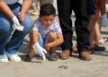 Reciben infantes útiles y apoyan liberación de crías de tortugas marinas en Tamaulipas
