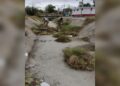 Gobierno de Victoria trabaja en la limpieza de drenes pluviales