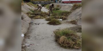 Gobierno de Victoria trabaja en la limpieza de drenes pluviales