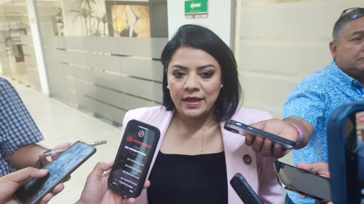 Hay un foco rojo en el trabajo de los jueces: Úrsula Salazar