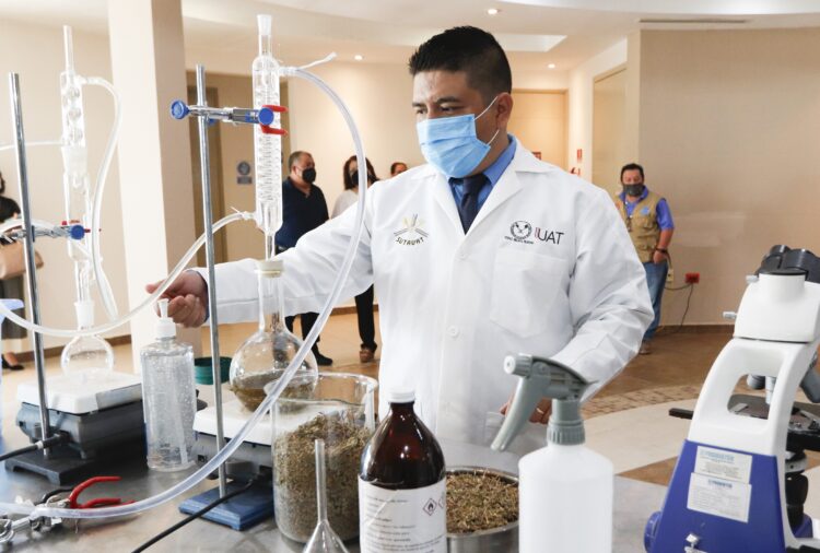 Destaca la UAT incremento de docentes en el Sistema Nacional de Investigadores