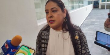 Propone diputada que Tamaulipas tenga un Instituto que defienda a los hombres