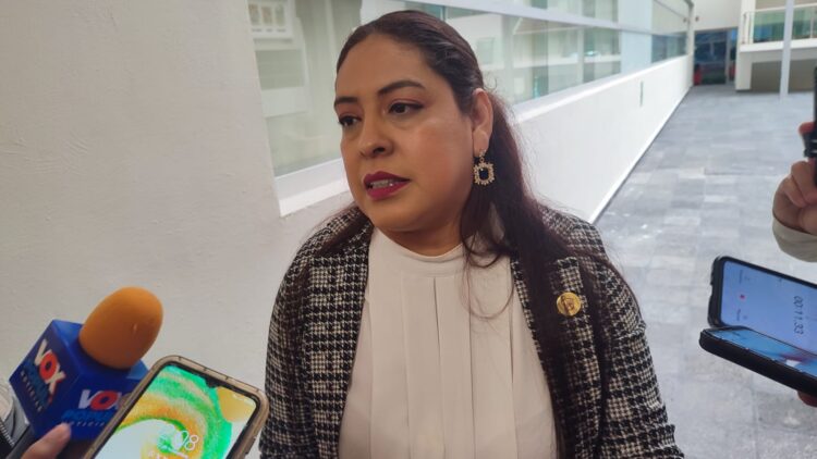 Propone diputada que Tamaulipas tenga un Instituto que defienda a los hombres