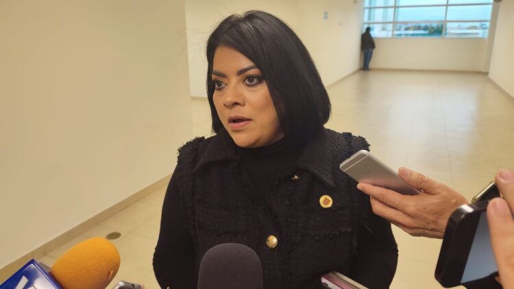(VIDEO) Diputados de Tamaulipas pedirán licencia en febrero o marzo