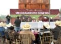 En Tamaulipas, fortalecen hatos ganaderos de Burgos, Méndez y San Fernando