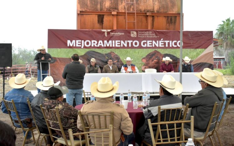 En Tamaulipas, fortalecen hatos ganaderos de Burgos, Méndez y San Fernando