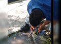 Intensifica COMAPA trabajos para eficientar servicio de agua y drenaje