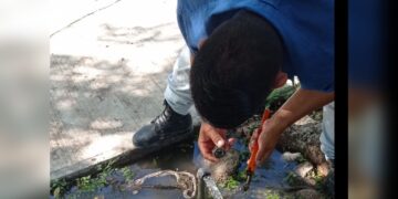 Intensifica COMAPA trabajos para eficientar servicio de agua y drenaje