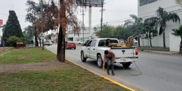 Continúa municipio embelleciendo la ciudad