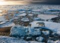 El 2023 es considerado el año más caluroso de la historia