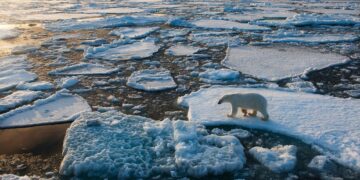 El 2023 es considerado el año más caluroso de la historia
