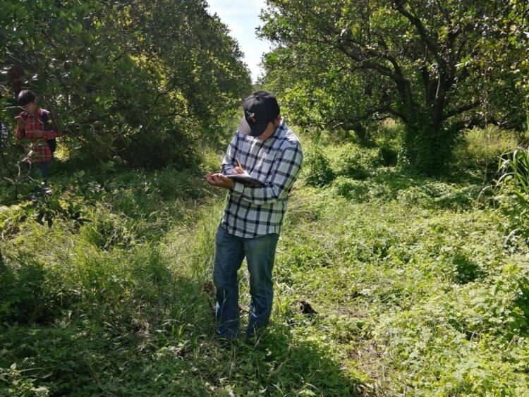 Desarrolla la UAT un proyecto para medir residuos de agroquímicos en el suelo
