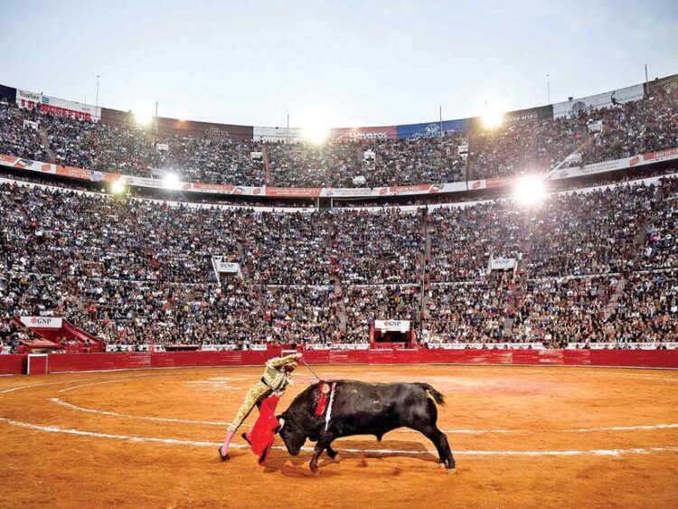 Suspenden corridas de toros en la Plaza México