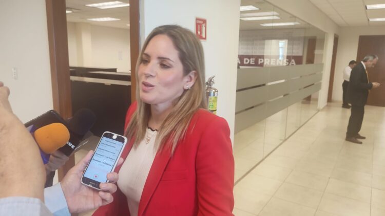 En Tamaulipas no se darán candidaturas a deudores alimentarios: Alejandra Cárdenas