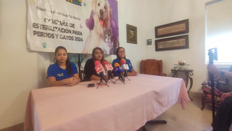 Activistas inician campaña para esterilizar animales callejeros