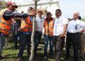 Participan sociedad y gobierno en la reforestación de Victoria