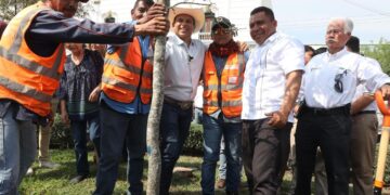 Participan sociedad y gobierno en la reforestación de Victoria