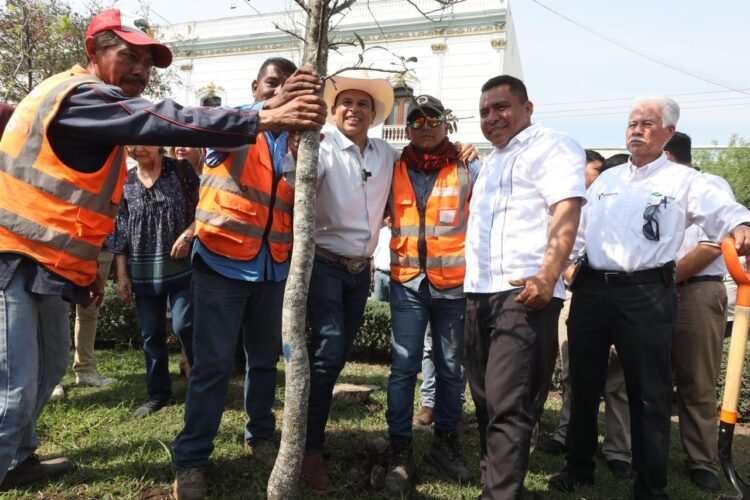 Participan sociedad y gobierno en la reforestación de Victoria