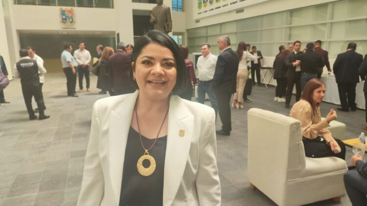 Congreso designaría persona interina para Derechos Humanos